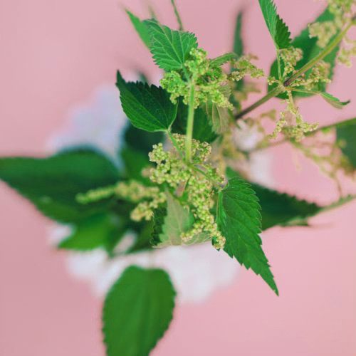 Bild von Julia Lubasch